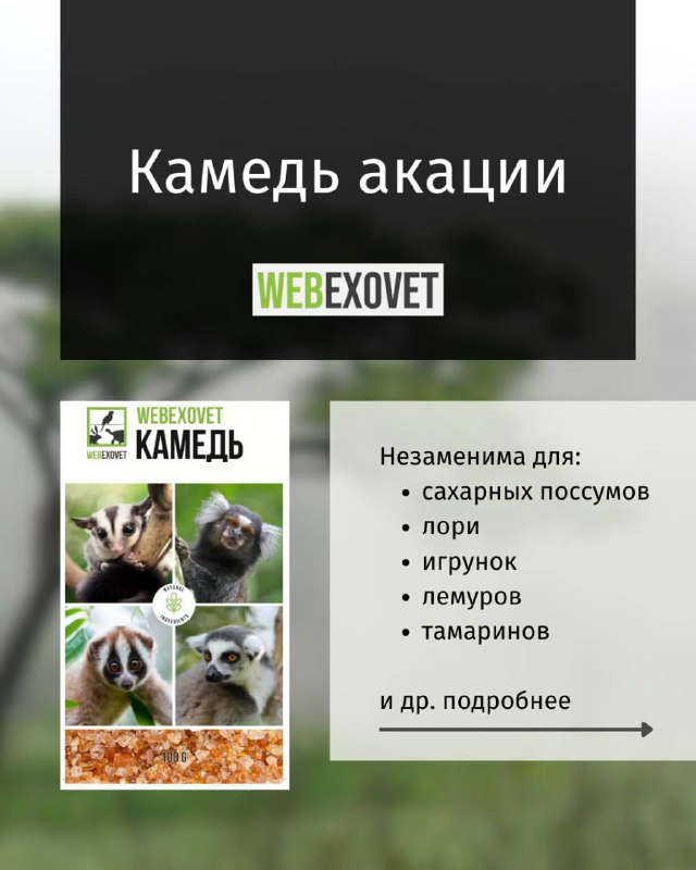 Изображение поста 1