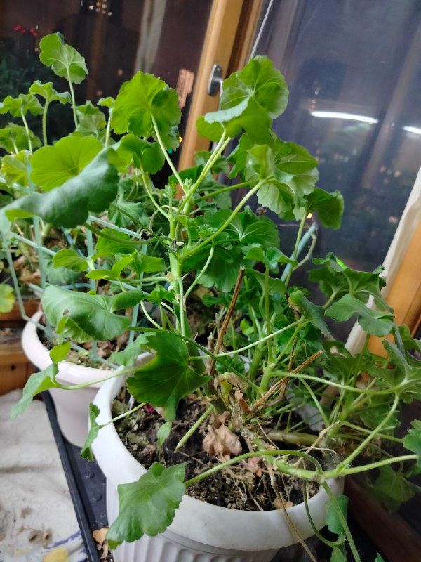 Изображение поста 1