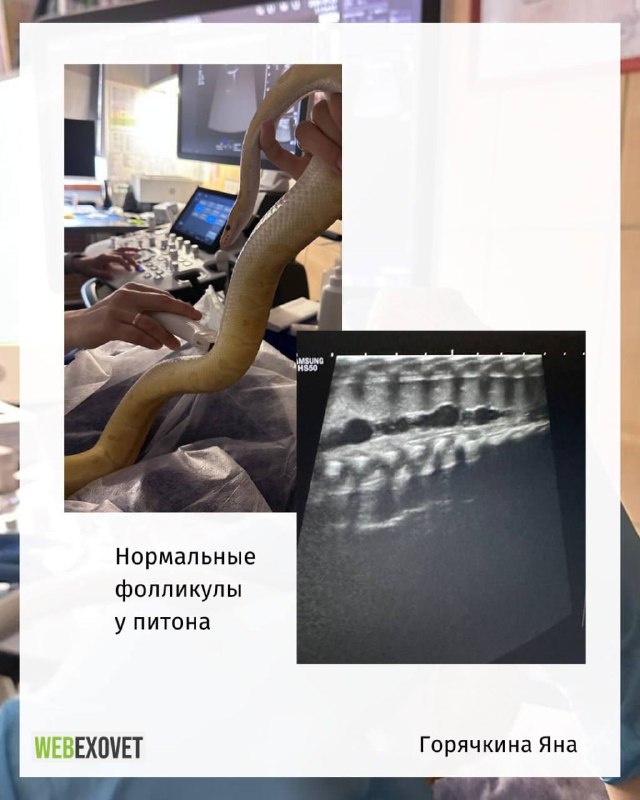 Изображение поста 3