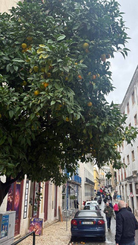 Изображение поста 1