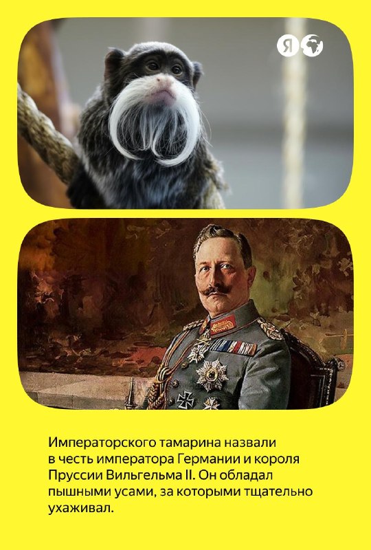 Изображение поста 3