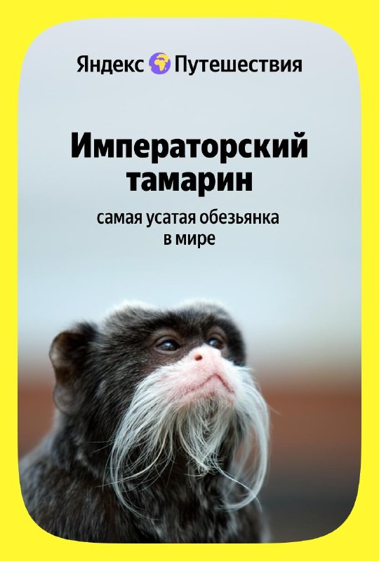 Изображение поста 1