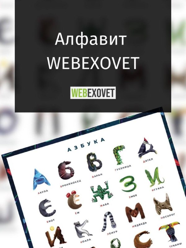 Изображение поста 1