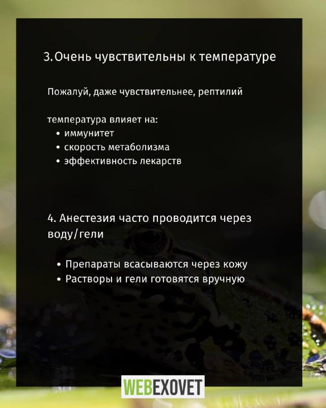 Изображение поста 3