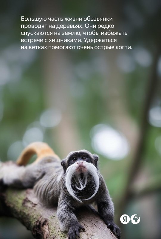 Изображение поста 4