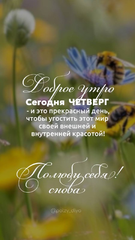 Изображение поста 2