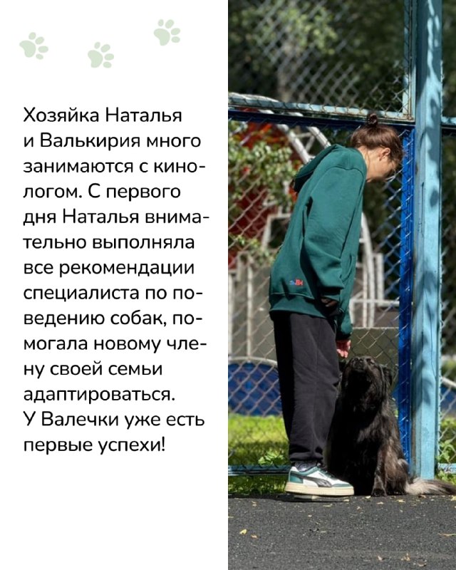 Изображение поста 4