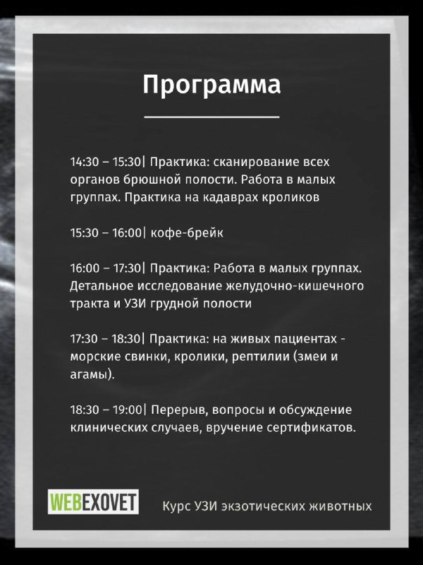 Изображение поста 3