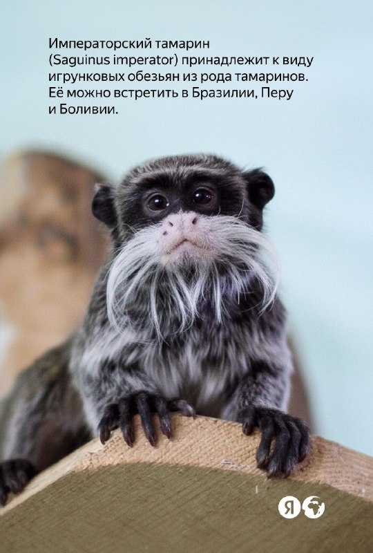 Изображение поста 2