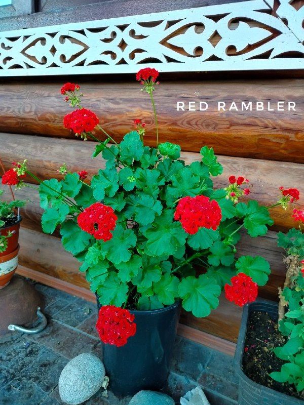 Изображение поста 3