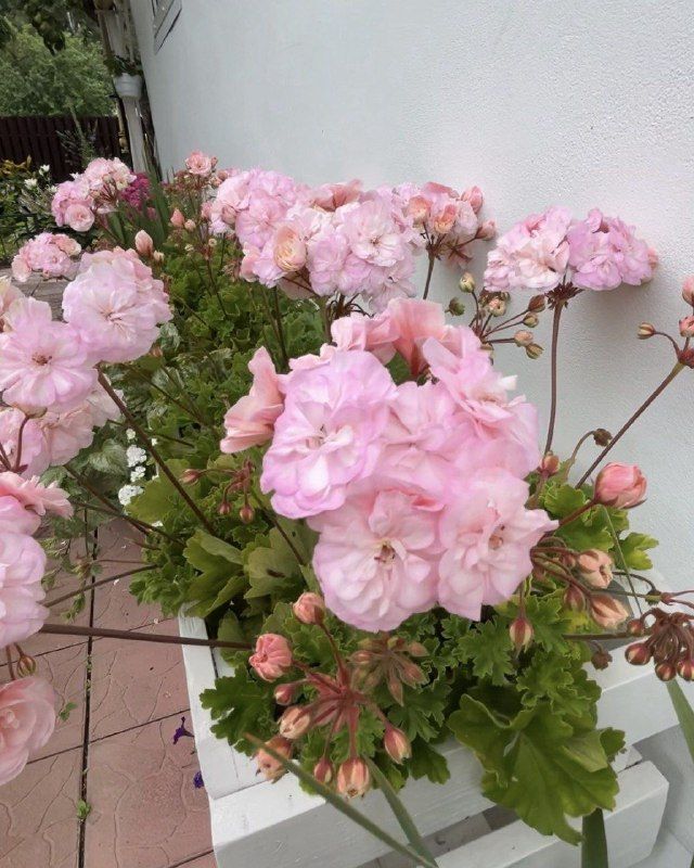 Изображение поста 4