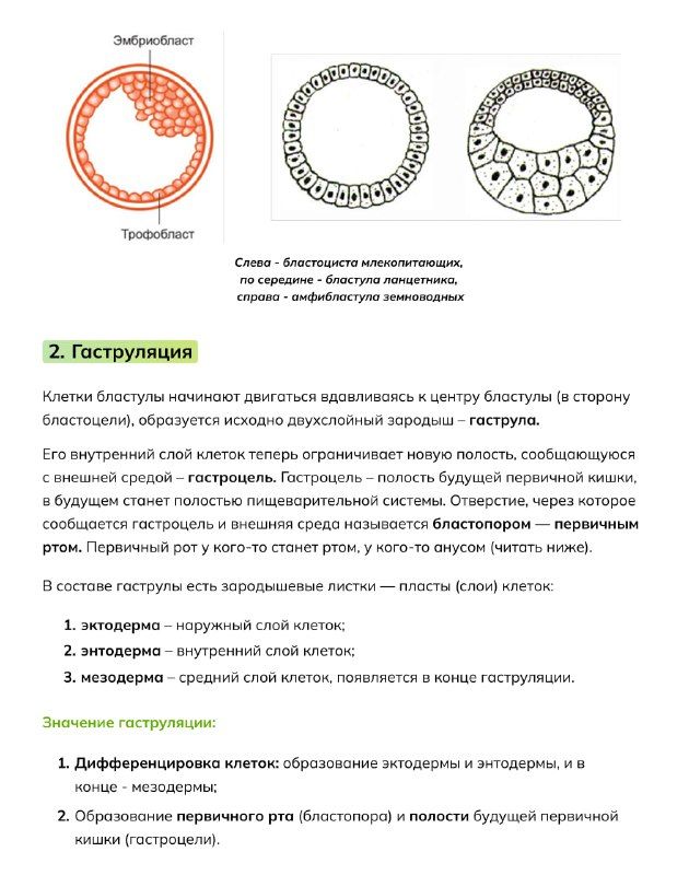 Изображение поста 3