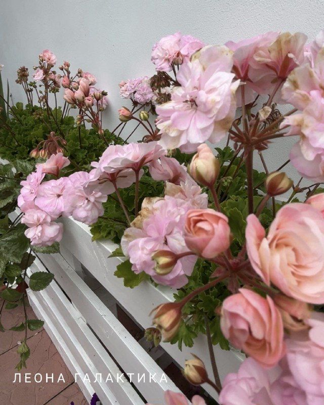 Изображение поста 1