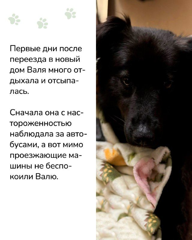 Изображение поста 3