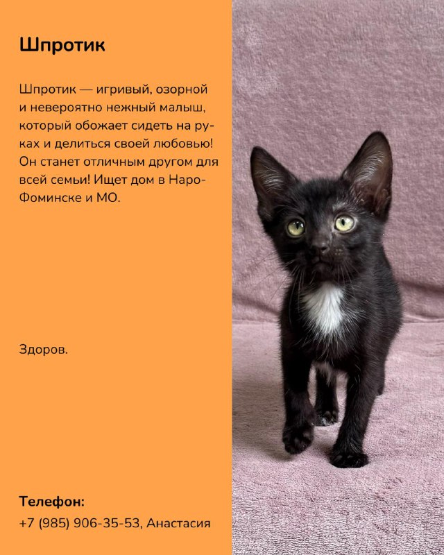Изображение поста 4