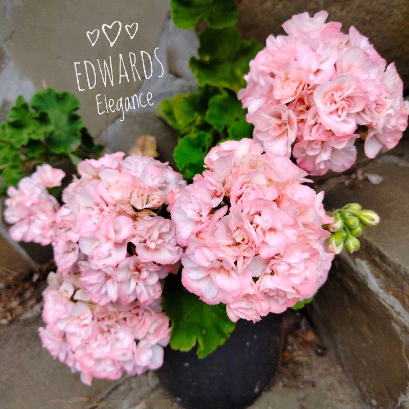 Изображение поста 2