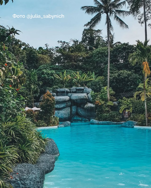 Изображение поста 4