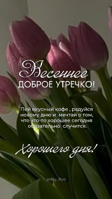 Изображение поста 1