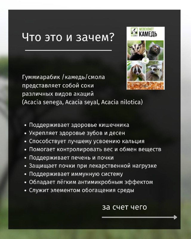 Изображение поста 2