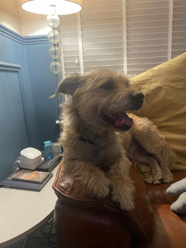 Изображение поста 3