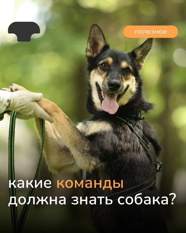 Изображение поста 1