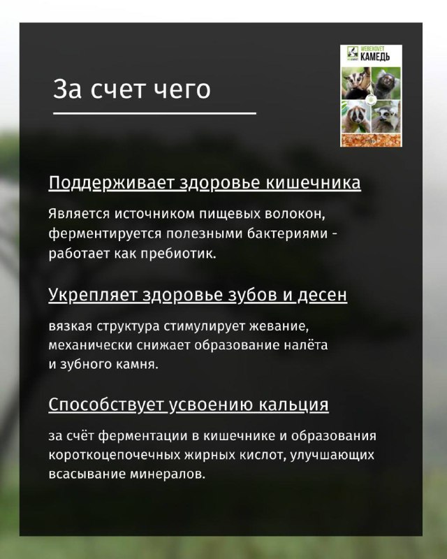 Изображение поста 3