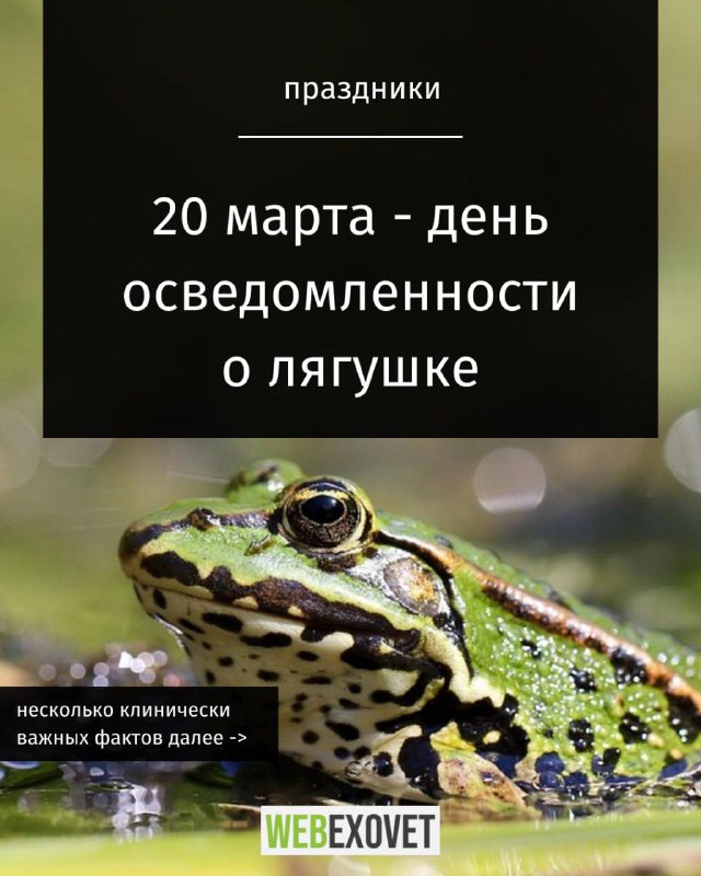 Изображение поста 1