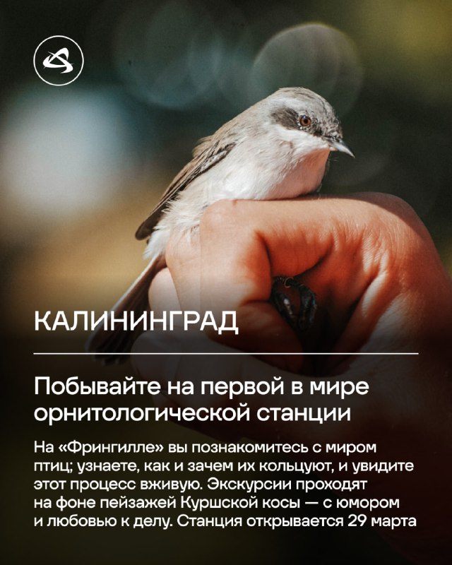 Изображение поста 4