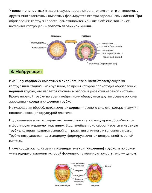 Изображение поста 4