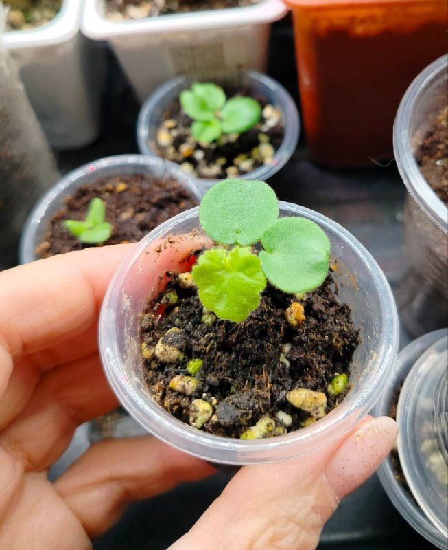 Изображение поста 2