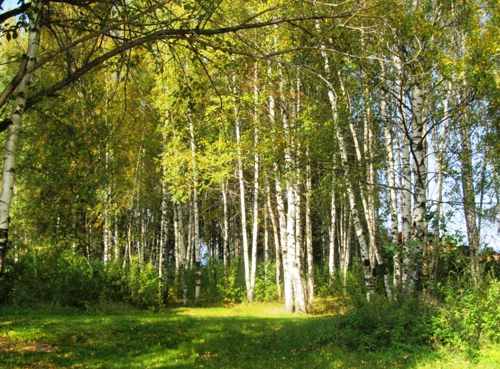 Киржачский Район Владимирская Область Купить