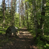 Прогулочная территория (увеличено)