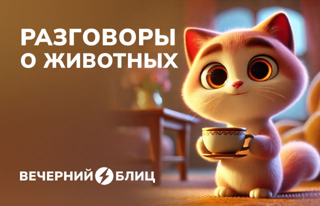 Разговоры о животных