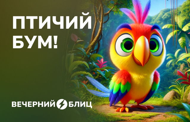 Птичий бум!