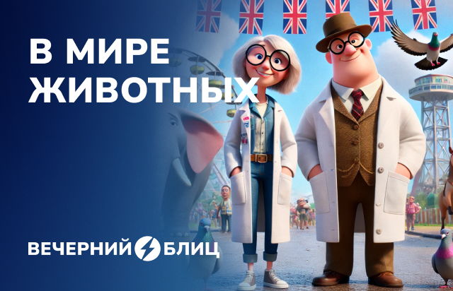 В мире животных