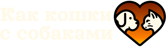 Как кошки с собаками