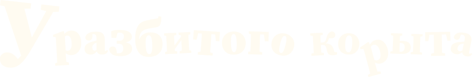 У разбитого корыта