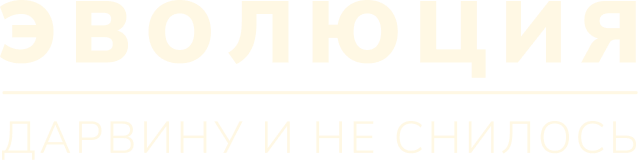 Эволюция 2