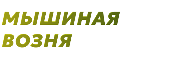 Мышиная возня