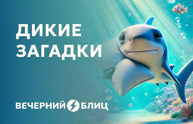 Дикие загадки