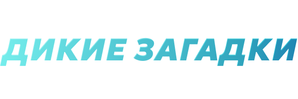 Дикие загадки