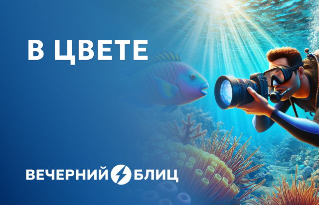 В цвете