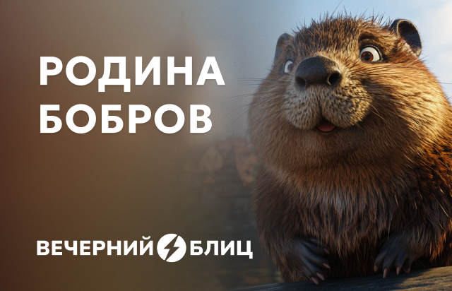 Родина бобров