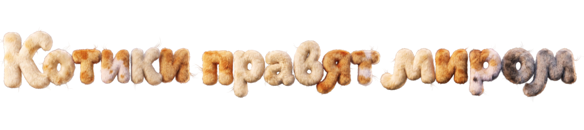 Котики правят миром
