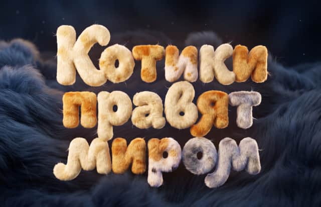 Котики правят миром