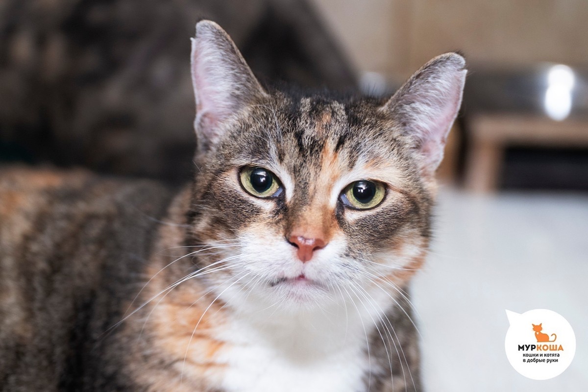 Касабланка