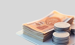 Banks, Insurance, Leasing