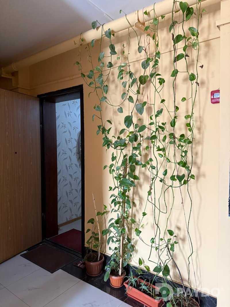 4-комн. • 8 этаж • 170.0 м² • Кароболо