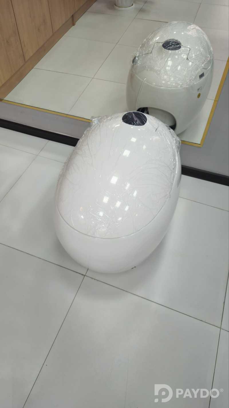 Умный унитаз ST-012