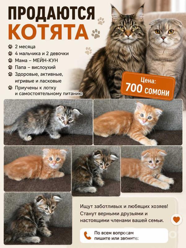 Дигар • 2 моҳ